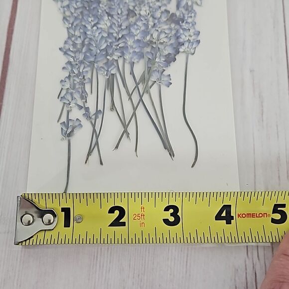 Dried Flowers - Bundle of 2 - Picture 4 of 5